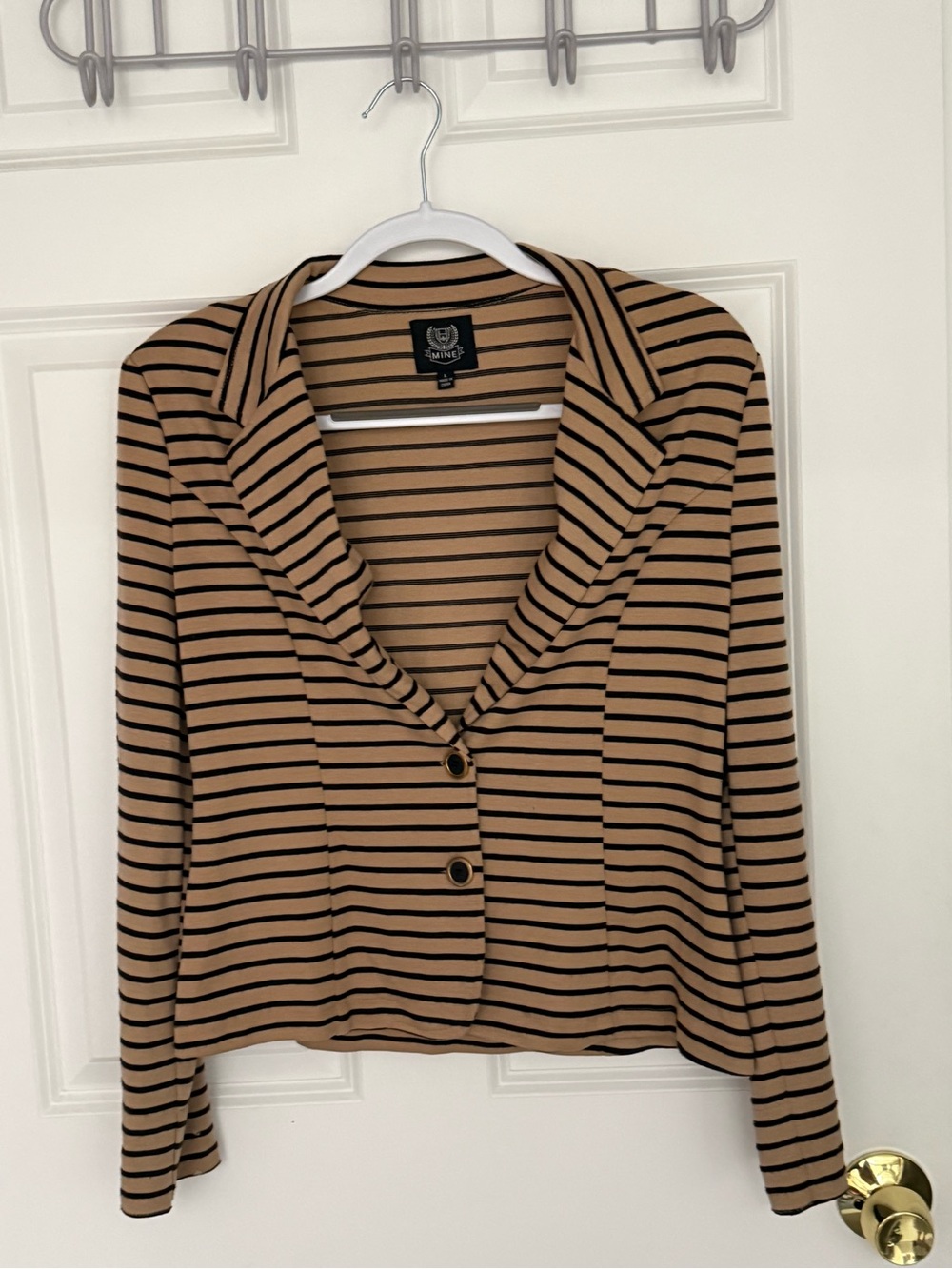 mine Tan and Black Striped Blazer Jacket